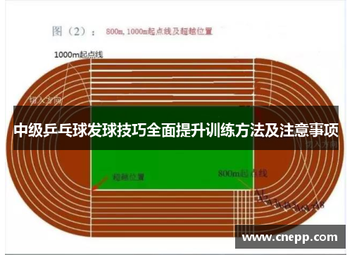 中级乒乓球发球技巧全面提升训练方法及注意事项