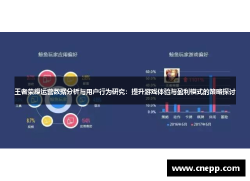 王者荣耀运营数据分析与用户行为研究：提升游戏体验与盈利模式的策略探讨