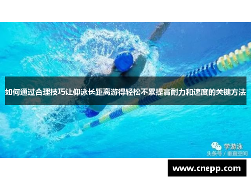 如何通过合理技巧让仰泳长距离游得轻松不累提高耐力和速度的关键方法