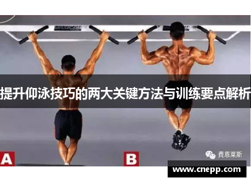 提升仰泳技巧的两大关键方法与训练要点解析