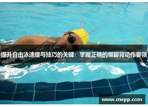 提升自由泳速度与技巧的关键：掌握正确的绷脚背动作要领