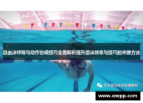 自由泳呼吸与动作协调技巧全面解析提升游泳效率与技巧的关键方法