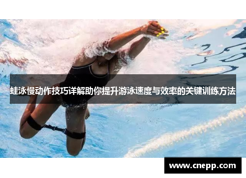 蛙泳慢动作技巧详解助你提升游泳速度与效率的关键训练方法