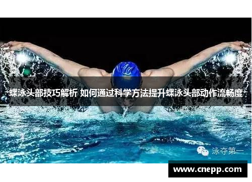蝶泳头部技巧解析 如何通过科学方法提升蝶泳头部动作流畅度