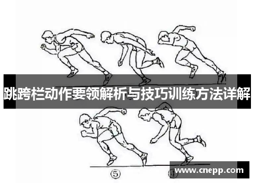 跳跨栏动作要领解析与技巧训练方法详解